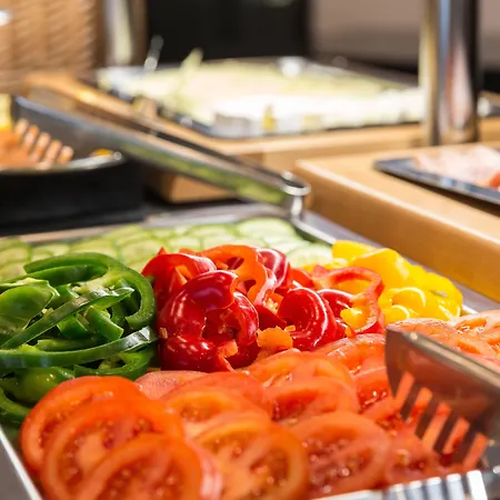 Skyline Frankfurt 4* Frankfurt am Main