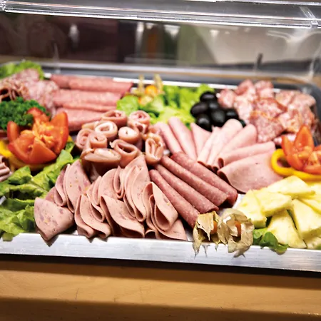 法兰克福城市天际线酒店 酒店 美因河畔法兰克福